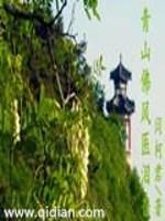 ��ɽ���ҽ����