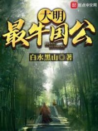 大明:最牛国公
